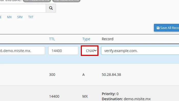 Choose the CNAME type in Zone Editor