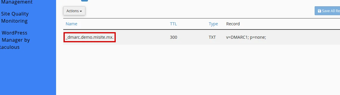 Existing DMARC record in Zone Editor