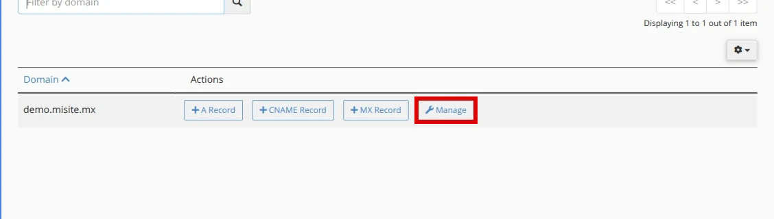 Open Manage for the domain in Zone Editor