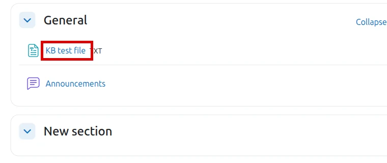 Added file visible in the Moodle course section in English